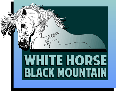 black horse and white horse